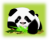 Panda With Plants Clip Art